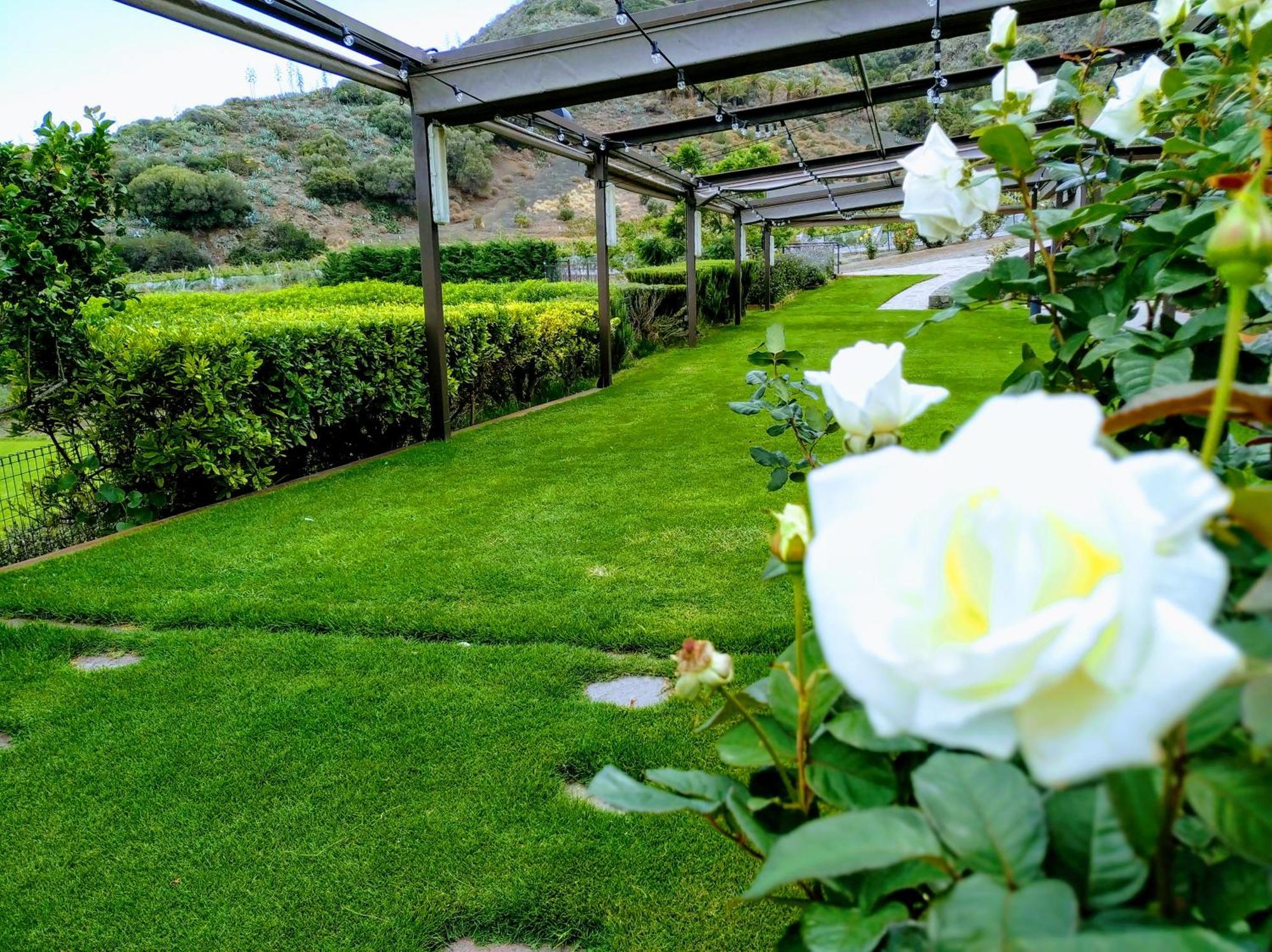 Hotel Rural El Mondalon Λας Πάλμας ντε Γκραν Κανάρια Εξωτερικό φωτογραφία