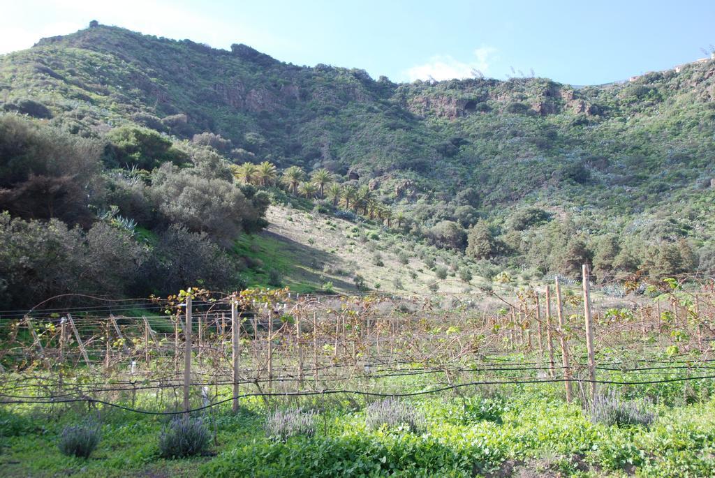 Hotel Rural El Mondalon Λας Πάλμας ντε Γκραν Κανάρια Εξωτερικό φωτογραφία